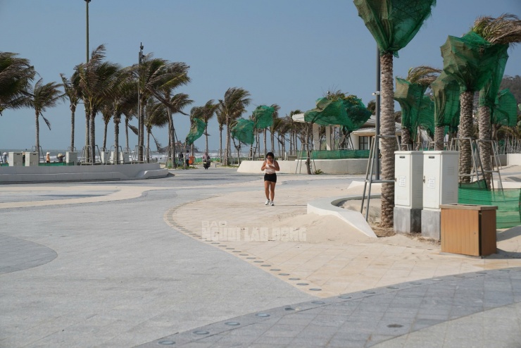 Những ngày gần đây, tại khu vực công viên dọc đường Thùy Vân (Bãi Sau, phường Vũng Tàu, TPHCM), cát từ biển liên tục bị gió cuốn sâu vào đất liền, tạo thành những ụ lớn kéo dài. Nhiều đoạn lối đi bộ, khu vui chơi và thảm cỏ bị vùi lấp dưới lớp cát dày.