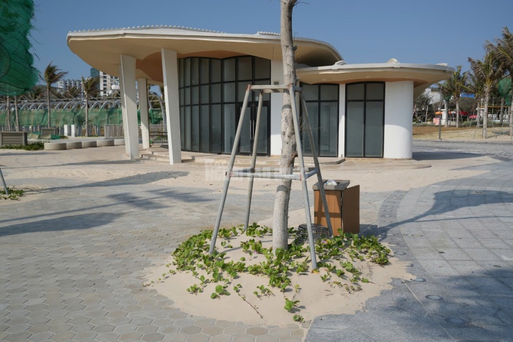 Ước tính mỗi ngày có hàng trăm m3 cát tràn vào công viên. Hàng chục công nhân phải liên tục thu gom, xịt nước, dùng xe cơ giới đưa cát trở lại bãi biển nhưng không xuể.