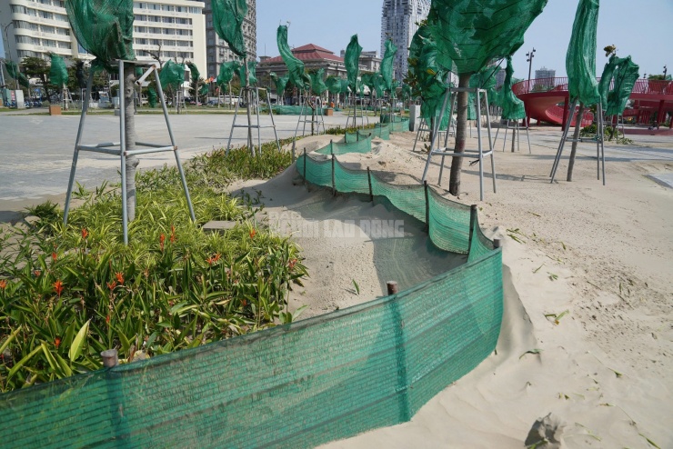 Dù đã triển khai nhiều biện pháp như giăng lưới chắn cát, tưới nước bề mặt hay huy động nhân lực thường xuyên dọn dẹp, hiệu quả vẫn rất hạn chế.