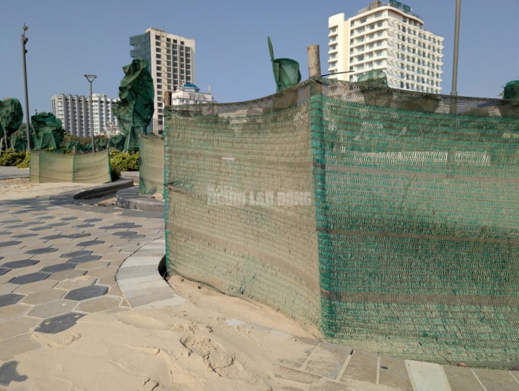 Bên cạnh đó, việc công viên được thiết kế theo không gian mở, thiếu các vật cản tự nhiên như rừng phi lao, thảm thực vật ven biển hoặc công trình chắn gió cũng khiến cát dễ dàng xâm nhập sâu.