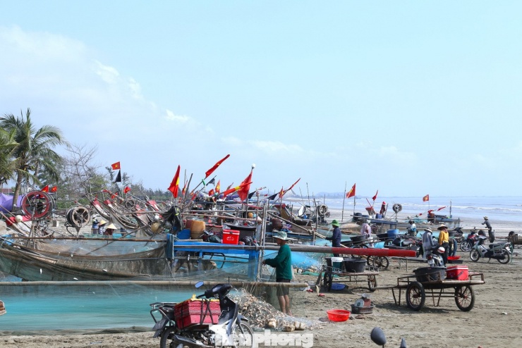 Những ngày này, dọc các xã ven biển Nghệ An như Hải Châu, Hải Lộc, Quỳnh Phú hay khu vực Cửa Lò, đâu đâu cũng thấy cảnh tàu bè tấp nập. Mỗi chuyến biển, sản lượng có thể đạt từ vài chục đến hàng trăm kg cá, mang lại nguồn thu ổn định cho bà con.