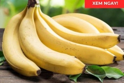 Tin tức sức khỏe - Thời điểm ăn chuối tốt hơn cả thuốc bổ, giúp phổi thông thoáng, ho giảm, đàm loãng và thở dễ hơn