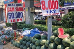 Nhiều nông sản rớt giá còn vài nghìn đồng một kg