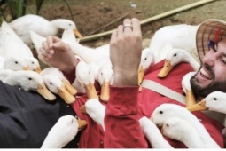 Du khách nước ngoài thích thú trải nghiệm du lịch nuôi vịt, chăn trâu, câu cá