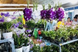 Xã Hưng Long, TPHCM (địa phận Bình Chánh trước đây), dân bỏ túi 6 tỷ/năm nhờ trồng lan bằng kỹ thuật này