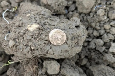 Dò kim loại, người đàn ông phát hiện kho báu quý giá trên cánh đồng