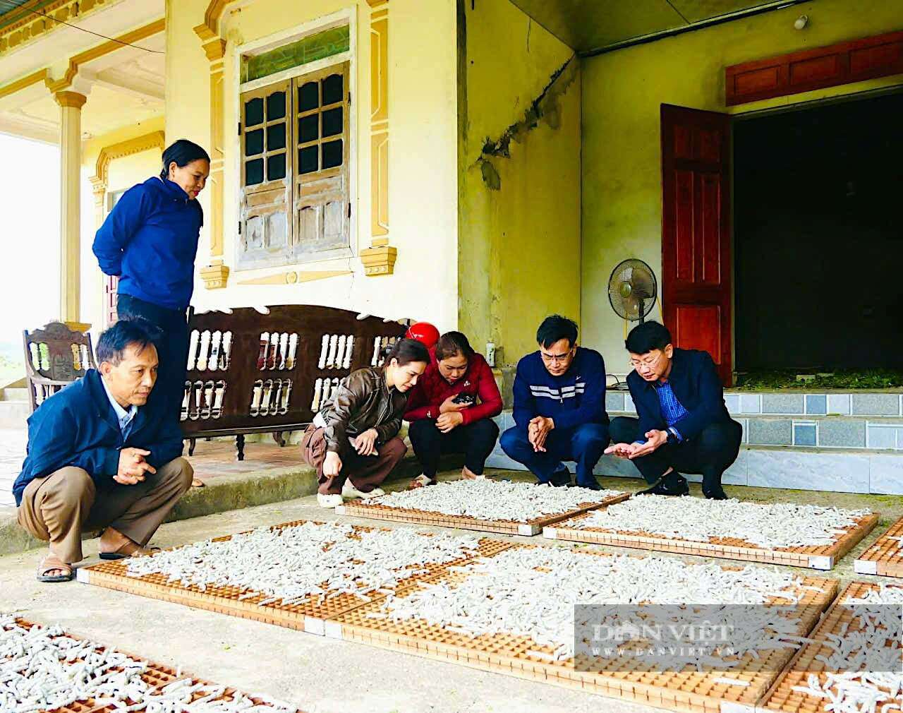 So với trồng lúa hay các cây ngắn ngày truyền thống, mô hình trồng dâu, nuôi tằm ở thôn Tân Tiến, xã Đức Thịnh, tỉnh Hà Tĩnh cho giá trị kinh tế cao gấp nhiều lần. Ảnh: PV