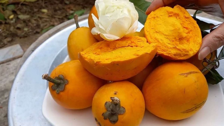 Vài năm trở lại đây, loại quả này bắt đầu được nhiều người tìm mua trở lại. Tại các chợ và cửa hàng trái cây, lê ki ma tươi có giá khoảng 25.000 – 35.000 đồng/kg, thậm chí có nơi bán tới 50.000 – 55.000 đồng/kg. Ảnh Internet