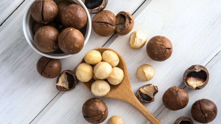 Sau khi thu hoạch, mắc ca thường được sấy khô, tách vỏ hoặc đóng gói hút chân không. Trên thị trường, sản phẩm được bán dưới nhiều dạng như hạt sấy nguyên vỏ hoặc nhân mắc ca đã tách vỏ. Ảnh Interrnet