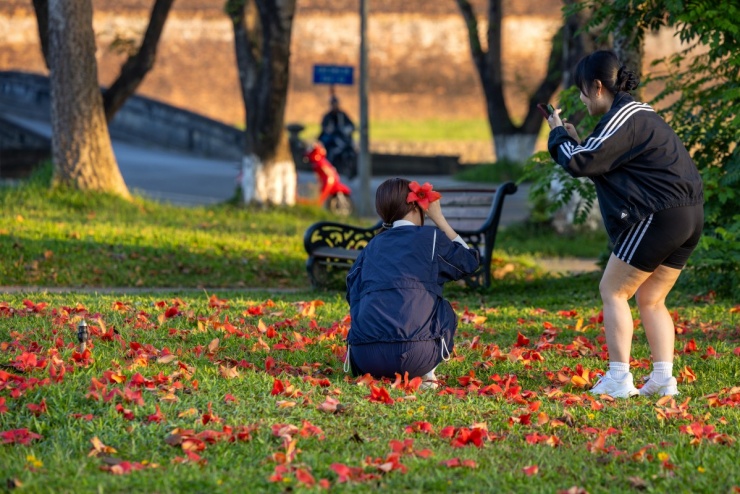 Hoa gạo nở đỏ rực khắp Kinh thành Huế - 6