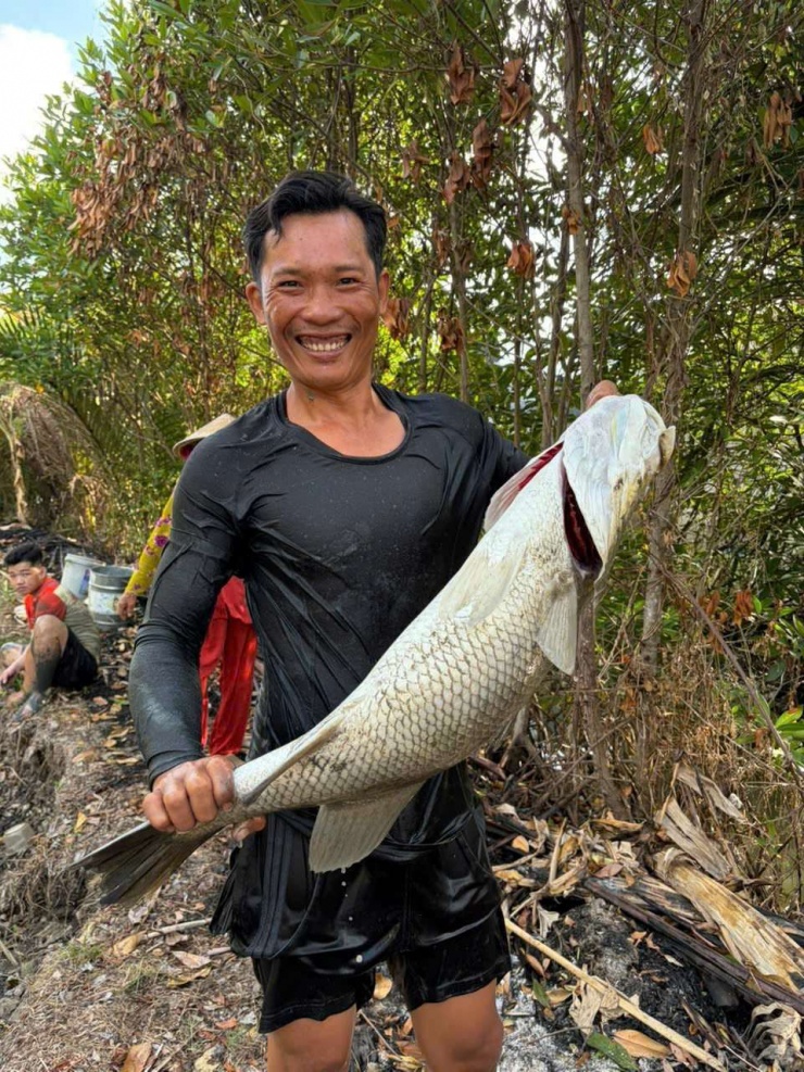Anh Nguyễn Văn Út cho biết, trong số cá chẽm-cá vược có trong vuông tôm của ông Bá, có vài con cân nặng hơn 12kg/con. Ảnh: An An