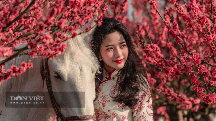 Đối với con giáp tuổi Ngọ, tháng 2 Âm lịch mang đến sự gia tăng cả về cơ hội tình cảm