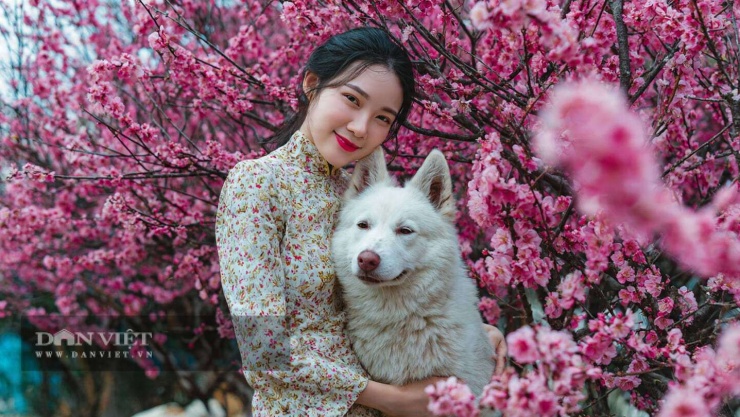 Đối với con giáp tuổi Dậu, tháng 2 Âm lịch, vận mệnh sẽ được đánh dấu bằng những thay đổi đáng kể.