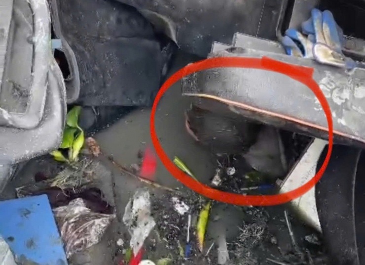 Giải cứu tài xế mắc kẹt trong xe trộn bê tông lật xuống ao.