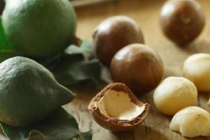 Loại hạt vừa tròn vừa béo lại vừa bùi được ví là "hoàng hậu" của các loại hạt, giá hơn 1,3 triệu đồng/kg