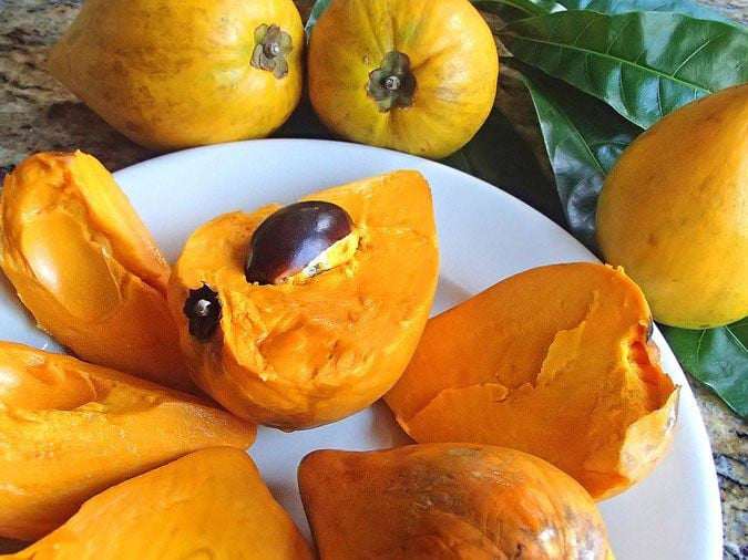 Từ một loại quả dân dã từng ít được chú ý, lê ki ma đang dần được nhìn nhận lại về giá trị dinh dưỡng và tiềm năng kinh tế.