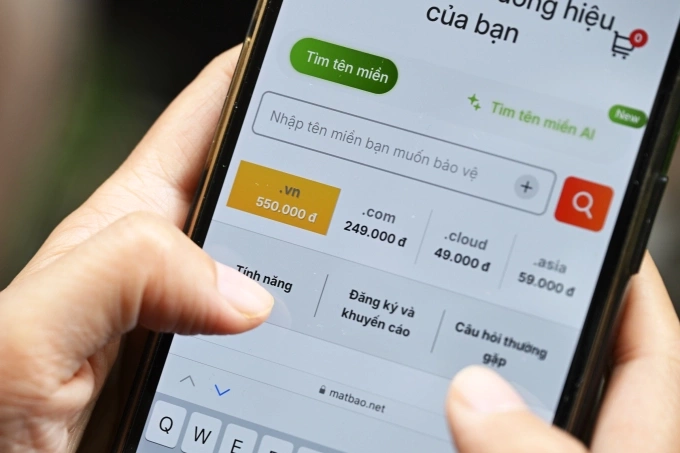 Một người đang tìm mua tên miền ".vn". Ảnh: Trọng Đạt