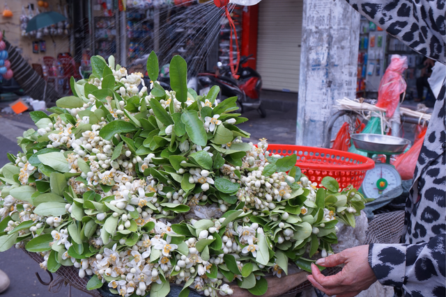 Hoa bưởi giá dao động từ 300.000 - 350.000 đồng/kg.