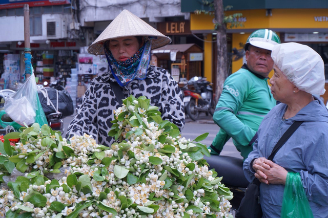 Người mua hoa không chỉ để cắm trong nhà, mà còn để ướp trà, ướp mía, nấu chè hay đơn giản là để trong góc phòng, để hương thơm thanh khiết lan tỏa khắp không gian. Nhiều người cũng mua hoa bưởi với niềm tin về sự may mắn trong năm.