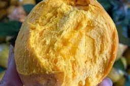 Từng là loại quả dân dã ít ai để ý nay được cả thế giới chuộng, chế biến thành “siêu thực phẩm” giá gần 2 triệu đồng/kg