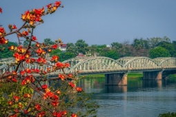 Hoa gạo nở đỏ rực khắp Kinh thành Huế