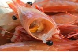 Ăn vỏ tôm có thật sự giàu canxi như nhiều người vẫn nghĩ?