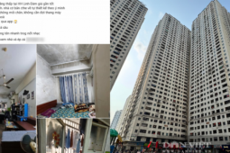 Thực tế căn hộ không sổ, "mốc meo" tại chung cư HH Linh Đàm nhưng được rao bán 3 tỷ đồng