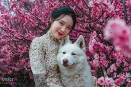 Dự báo vận mệnh 12 con giáp tháng 2 Âm lịch: Tuất bùng nổ vận may, Thân thu nhập đột phá, Sửu gặt hái mùa vàng