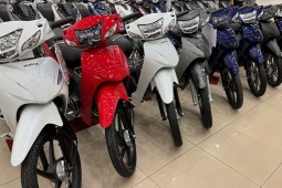 Giá Honda Wave Alpha cập nhật tháng 3/2026: Vẫn chênh tiền triệu!