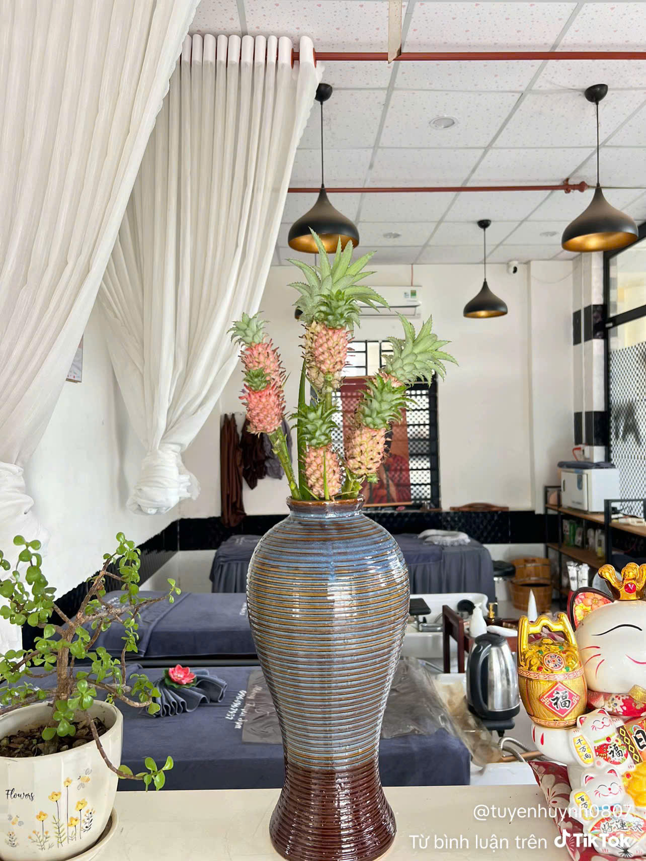 Những cành dứa cảnh mini nhỏ xinh đang trở thành trào lưu trang trí được chia sẻ nhiều trên mạng xã hội. Ảnh chụp màn hình.