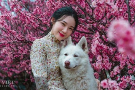 Dự báo vận mệnh 12 con giáp tháng 2 Âm lịch: Tuất bùng nổ vận may, Thân thu nhập đột phá, Sửu gặt hái mùa vàng