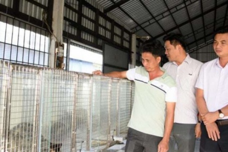 Nuôi con vật hay "nhìn lấm lét", một người Kiên Giang, nay là tỉnh An Giang hé lộ cách gì hay mà bỏ túi tiền tỷ/năm?
