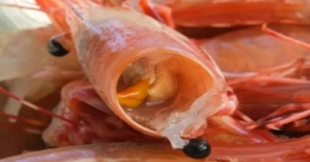 Ăn vỏ tôm có thật sự giàu canxi như nhiều người vẫn nghĩ?