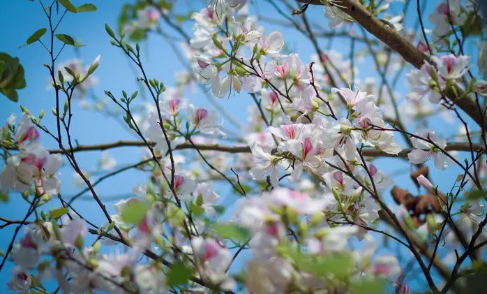 MU chiếm top 3 Ngoại hạng Anh: 5 trận cầu then chốt, đua vô địch được không? - 14