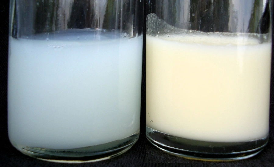 Màu sắc và độ đặc của sữa mẹ có thể thay đổi theo từng giai đoạn trong cữ bú