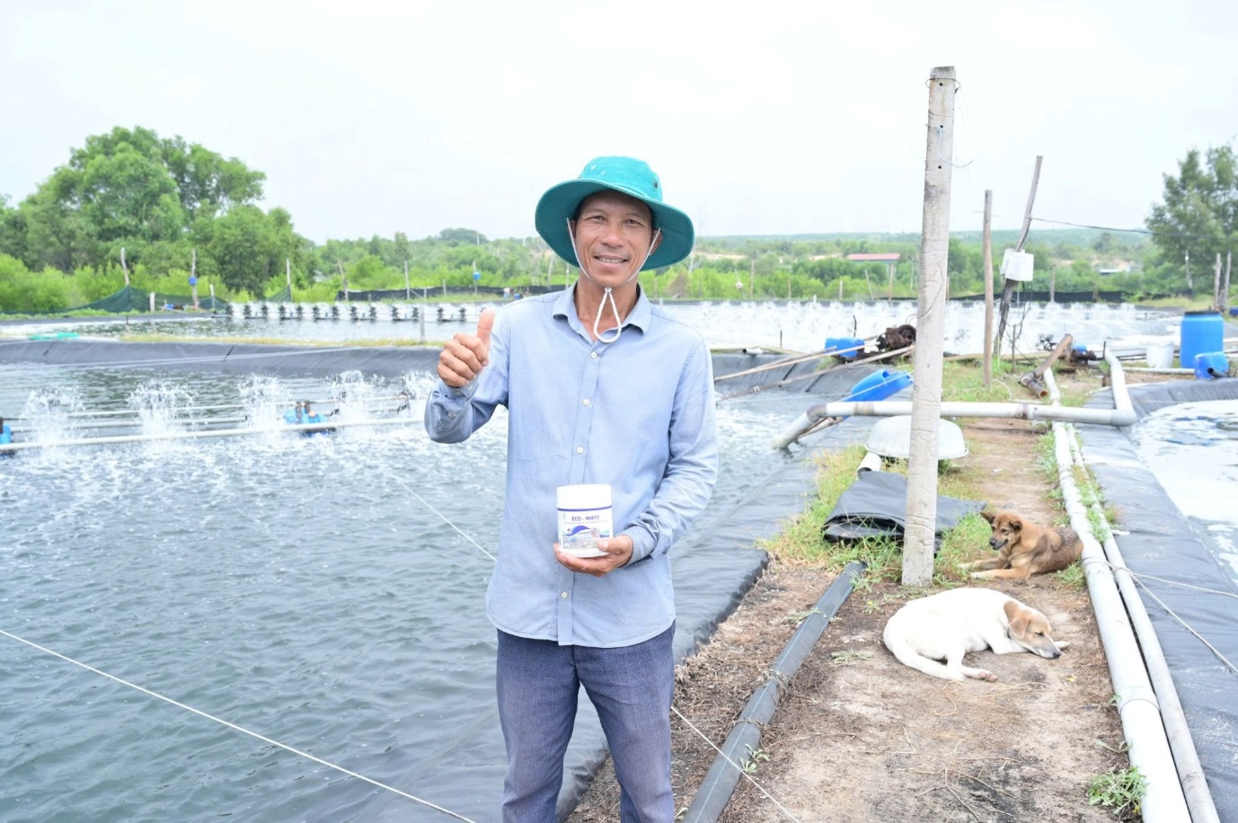 ECO WHITE đã được nhiều bà con tin tưởng sử dụng.