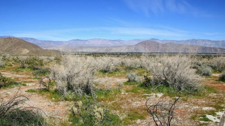 Sa mạc Anza-Borrego, California là bối cảnh cho những thước phim hành động kịch tính trong "One Battle After Another". Nguồn: Wikimedia Commons