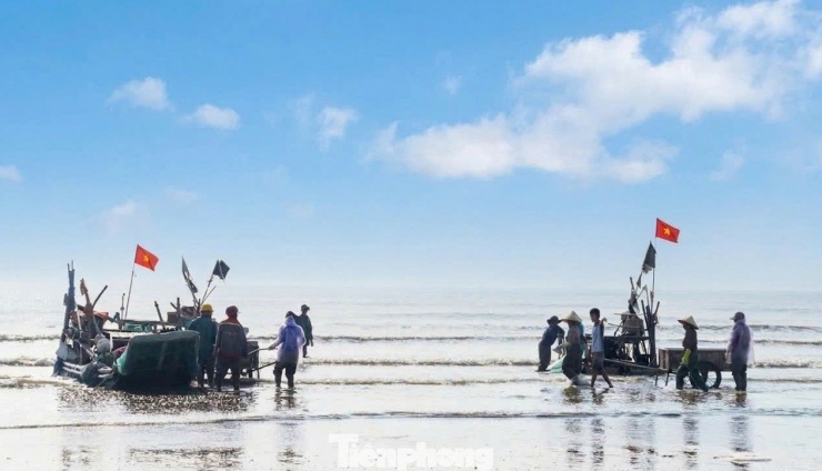 Những ngày này, tại các xã bãi ngang ven biển Nghệ An, không khí trở nên nhộn nhịp khi hàng trăm bè mảng nối đuôi nhau cập bờ, mang theo đầy ắp sứa biển. Chỉ sau vài giờ ra khơi, mỗi chuyến biển có thể thu về hàng tạ sứa, giúp ngư dân có thêm nguồn thu nhập đáng kể. Theo người dân địa phương, mùa sứa thường kéo dài từ tháng 3 đến tháng 5, trong đó cao điểm rơi vào tháng 3. Khác với nhiều nghề biển phải vươn khơi xa, đánh bắt sứa chỉ cần ra cách bờ khoảng 1 – 2 hải lý. Ngư cụ cũng đơn giản, chỉ cần lưới hoặc vợt là có thể khai thác.