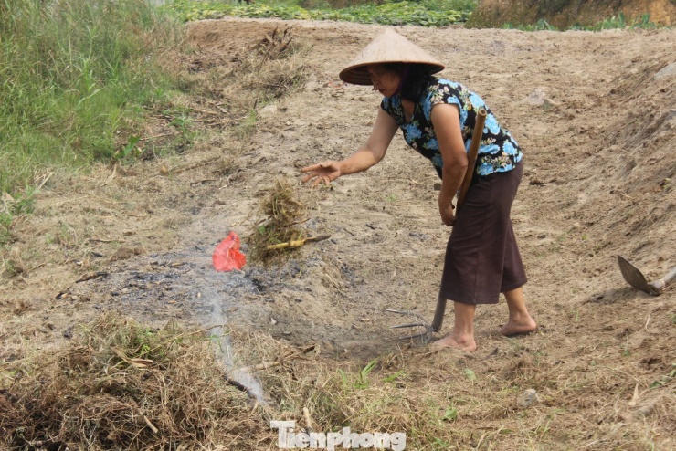 Theo nhiều người dân xã Chí Tiên, năm nay nước sông Hồng cạn bất thường, điều này dự báo mùa mưa bão sắp tới sẽ khắc nghiệt hơn và cây trồng bãi bồi ven sông cũng chậm phát triển hơn. Trong ảnh: Người dân khu 9, xã Chí Tiên thu dọn, đốt cỏ ven bờ sông Hồng.