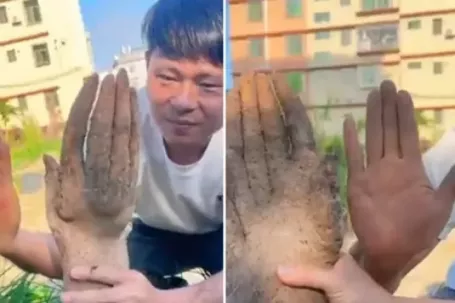 Bác nông dân đào được củ khoai hình bàn tay: Là hiện tượng gì, vì sao xảy ra?