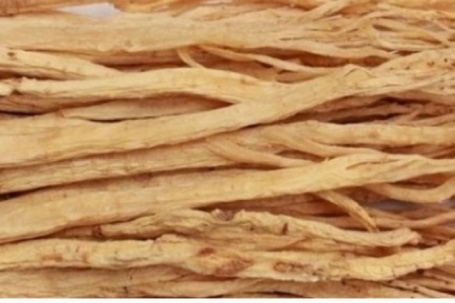 Việt Nam có “vị thuốc đại bổ”, dùng thường xuyên nâng tầm sức khỏe ít người biết