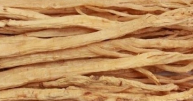 Việt Nam có “vị thuốc đại bổ”, dùng thường xuyên nâng tầm sức khỏe ít người biết