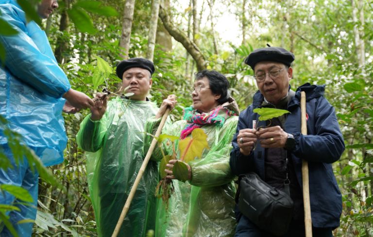 Bác sĩ Tuấn sưu tầm cây thuốc Nam tại Hà Giang