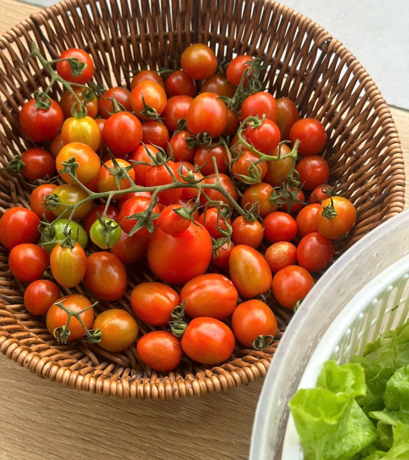 Những loại rau trái và hoa trong khu vườn của Giang&nbsp;