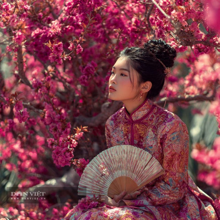 Con số may mắn hôm nay 21/3 của con giáp tuổi Ngọ: 3 và 7