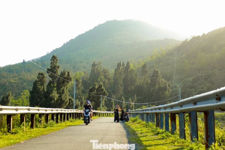 Không ồn ào, đông đúc như nhiều điểm du lịch khác, nơi đây mang đến cảm giác yên bình hiếm có. Những tán thông đung đưa trong gió, ánh nắng len lỏi qua từng kẽ lá tạo nên những vệt sáng đổ xuống mặt đường, gợi nên khung cảnh lãng mạn. Nhiều du khách không giấu được sự thích thú khi ví von nơi này như một góc trời Âu.