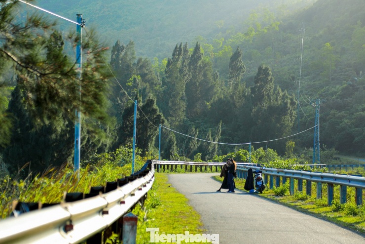 Nằm gần khu vực đỉnh đèo Hải Vân, cung đường đặc biệt này cách Hải Vân Quan khoảng 1km về phía TP. Huế. Từ tuyến đường chính, du khách rẽ vào một lối bê tông nhỏ men theo sườn núi. Đi hết con đường, một không gian hoàn toàn khác biệt dần mở ra với những hàng thông xanh cao vút, thẳng tắp, trải dài trong không gian tĩnh lặng, phủ kín hai bên lối đi. Ảnh: Duy Quốc.