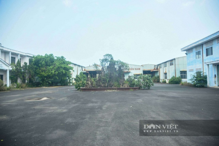 Hiện trạng khối tài sản 81 tỷ đồng của công ty đại gia Huy “Máy nổ” được Đà Nẵng rao bán - 10