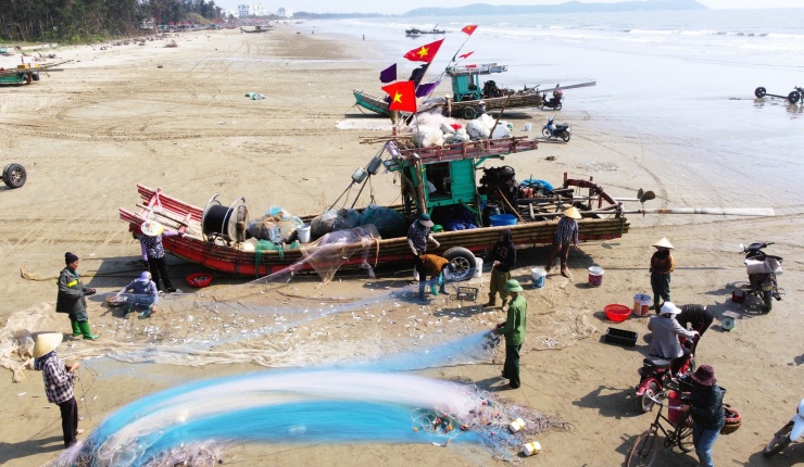 Ngư dân phường Nam Sầm Sơn, tỉnh Thanh Hóa thu hoạch cá trích