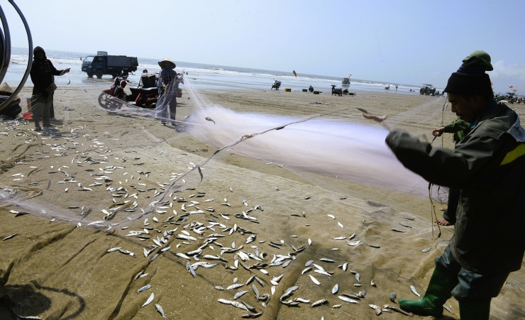 Với giá bán tại bến 18.000-20.000 đồng/kg, trừ chi phí mỗi ngư dân có thể thu nhập trung bình khoảng 1 triệu đồng